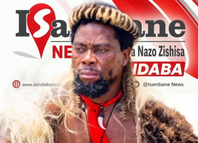 “From 31 July, Foreign Nationals Will No Longer Be Allowed to Operate These Businesses” – Phakelumthakathi Issues New Warning