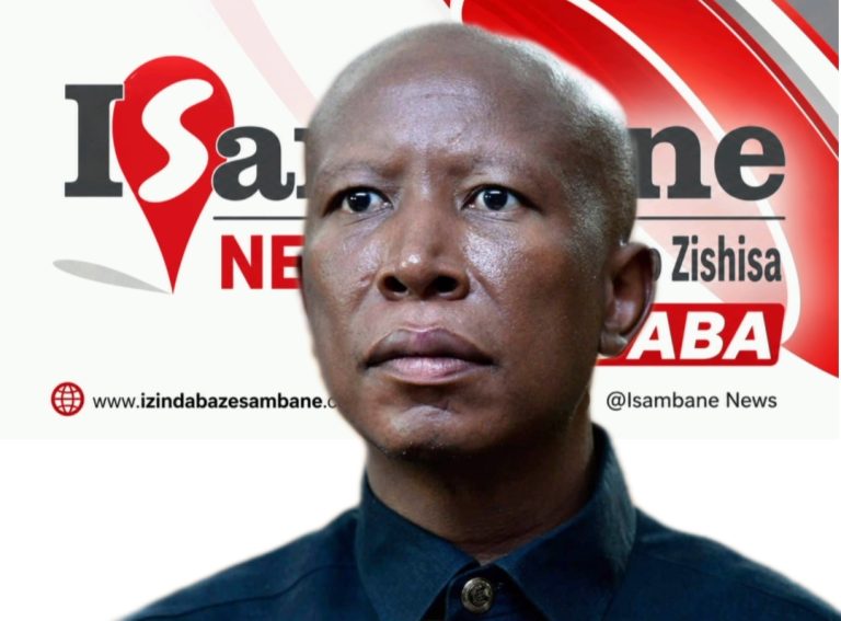 Zimbabwe Economic Forum Urges Julius Malema to Focus on South Africa Instead of Zimbabwe